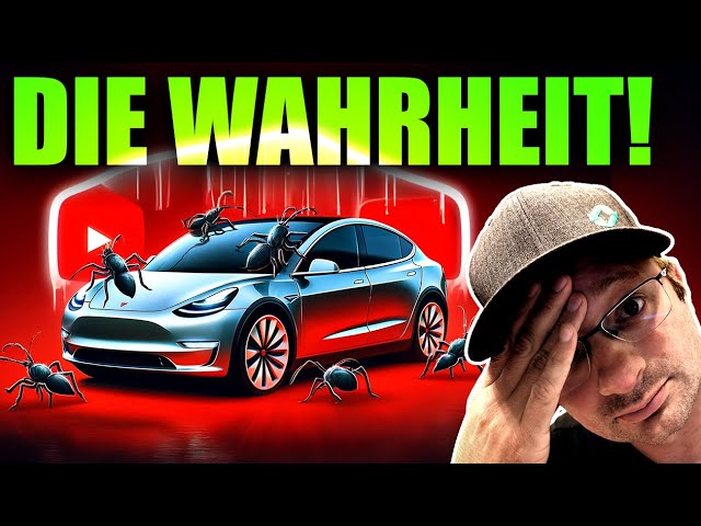 Warum wir unseren Tesla Model Y zurückgeben wollten!