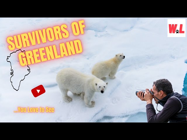 10 Famous Greenland Survivors You Won't Believe Made It