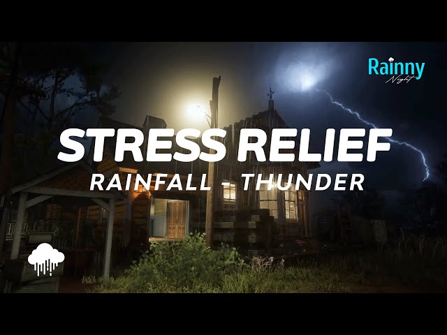 Relaxing Rain & Thunder Sounds Perfect for Sleep, Study, and Stress Relief   NO ADS