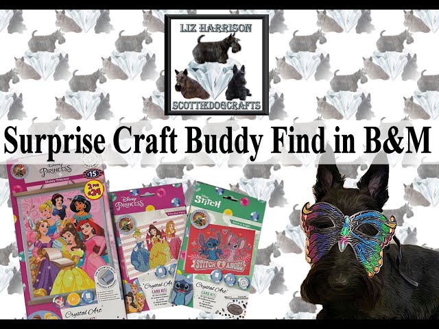 Diamond Painting |UNBOXING | B&M |Craft Buddy New items not on Website |Disney Princess |#craftbuddy