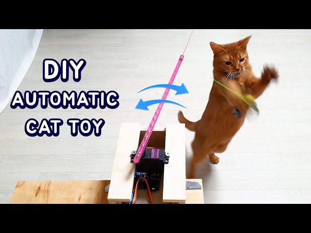 DIY Amazing Automatic Cat Toy