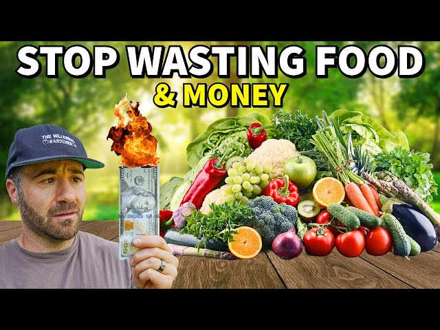 Stop WASTE, Save MONEY: 4 Ways To Maximize Your Garden's Harvest!