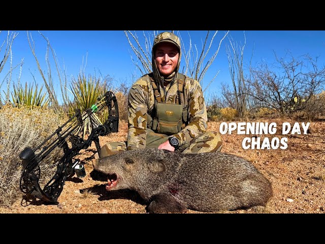 Opening day javelina with a BOW!