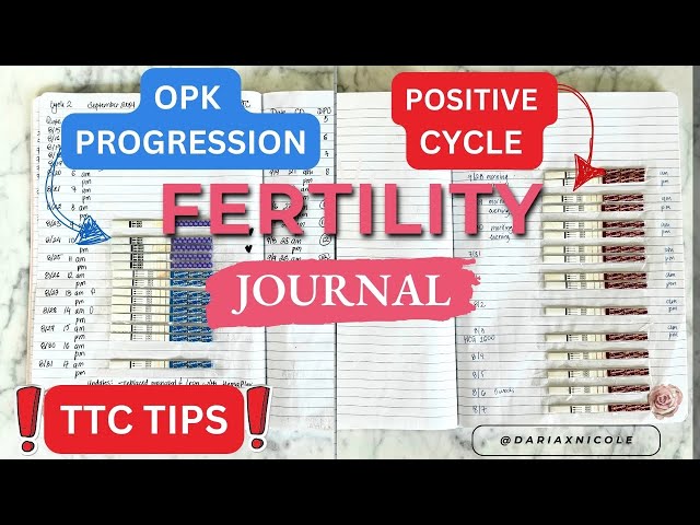 FERTILITY JOURNAL || OPK Progression & Positive Pregnancy Test (TTC TIPS)