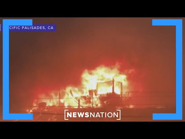 LA fires: Why did State Farm cancel 70% of Palisades policies? | Dan Abrams Live