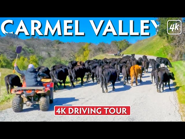 DRIVE the winding ROAD up to CARMEL VALLEY, CALIFORNIA – 4K (Ultra HD) Driving Tour