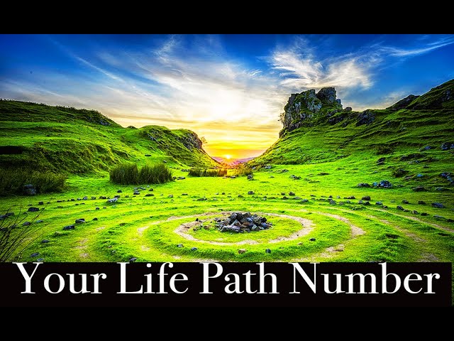 Discover Your Life Path Number: A Step-by-Step Guide #numerology #destinynumber #masternumber11