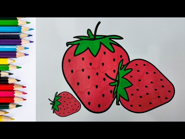 Learn to Color Strawberry Fruit