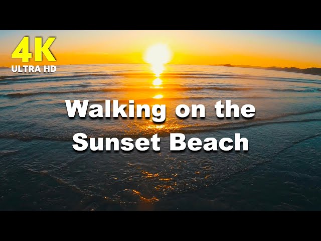 4K Walking on the sunset beach | Relaxing Video for sleep