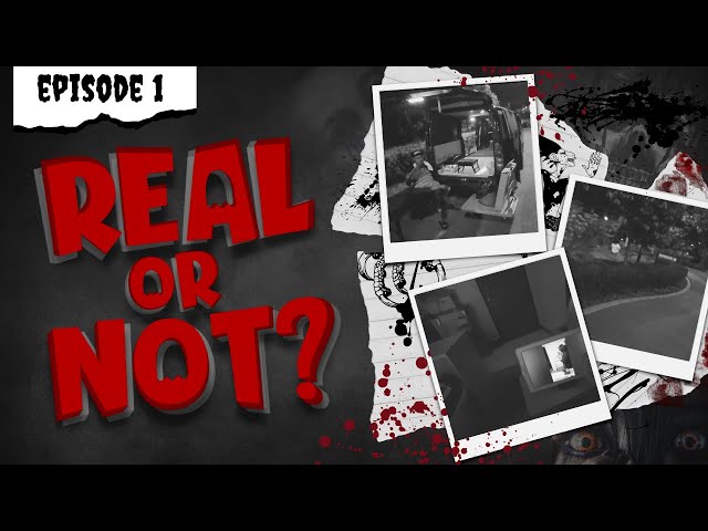 Real or Not - Episode One (POVs)