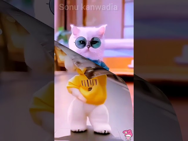 Cat funny dance 😻😂 Cute kittens #cat #cute #cats #catvideos #catdance #catshorts #ytshorts #yt