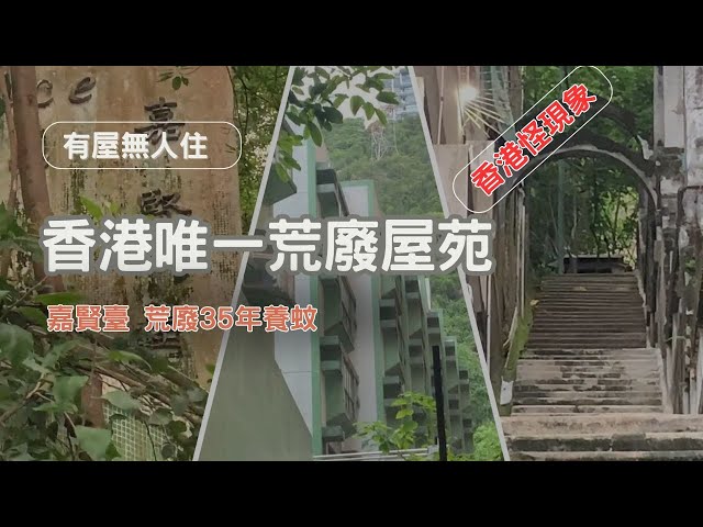 【香港怪現況】有屋無人住｜香港唯一荒廢屋苑｜嘉賢臺｜荒廢35年養蚊｜The only abandoned housing estate in Hong Kong【廣東話｜中文字幕】