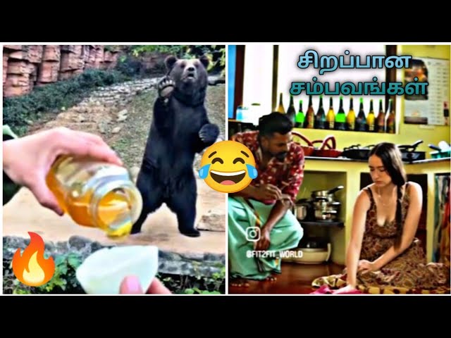 கடைசி வரைக்கும் பாருங்க 🔥🔥Trending/cheems comedy videos /pullingo cheems tag that thirutupaiyan