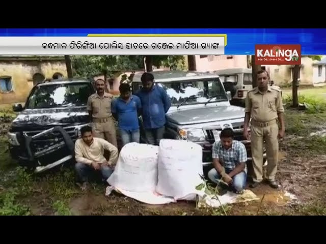 Kandhamal: Four people arrested with 70kg Ganja seized in Phiringia | Kalinga TV