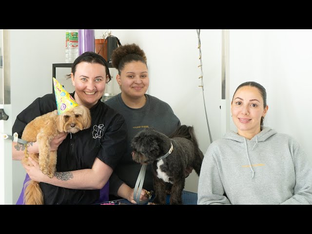 Day in the Life of a Dog Groomer: Episode 5