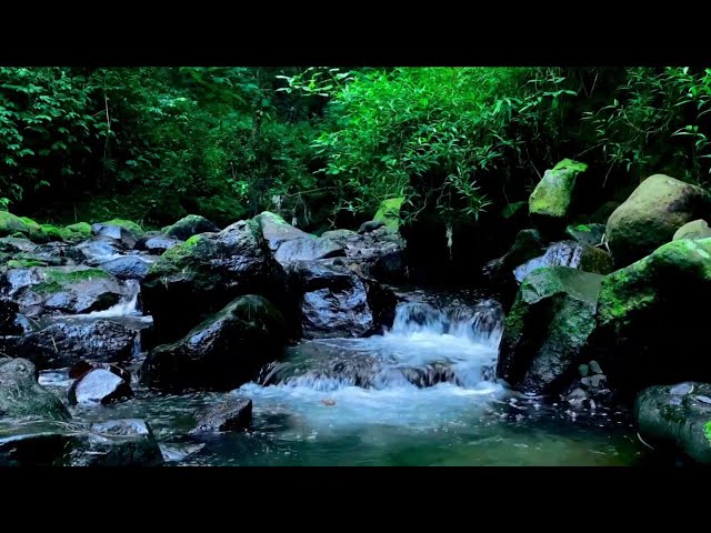 Mountain Stream Serenity, Immerse in Nature’s Forest Pure River Sounds for Deep Relaxation