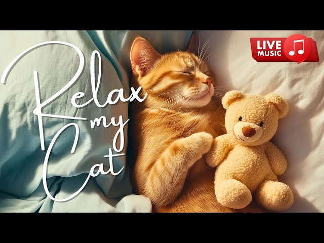 24/7 Soothing Music for Cats 🎵 Calm, Soothe and Relax 🐈 Live Sleep Music 🔴