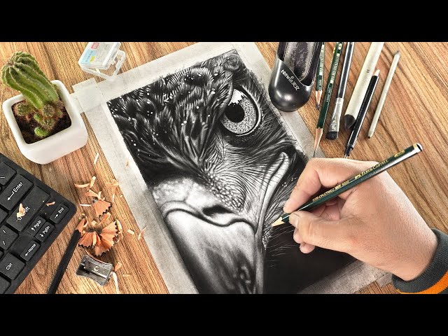 Step-by-Step Hyper Realistic Bird Eye!