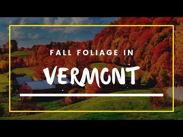 Fall Foliage In Vermont | Vermont Fall Foliage | Fall Season In USA | Scenic Drive In Vermont Fall