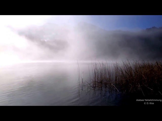 Alatsee im Nebel