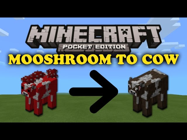 ✔ Mooshroom to Cow Trick - Minecraft PE