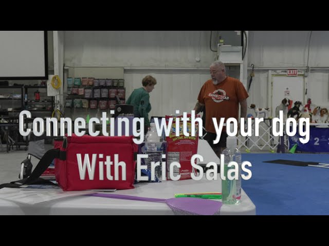 Foundation training Connecting with dogs  Module 1 with Eric Salas