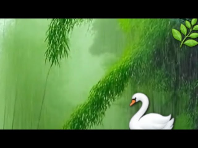 Beautiful Nature Whatsapp Status 🌿🌧|| nature status || Nature Videos #nature #naturewhatsappstatus