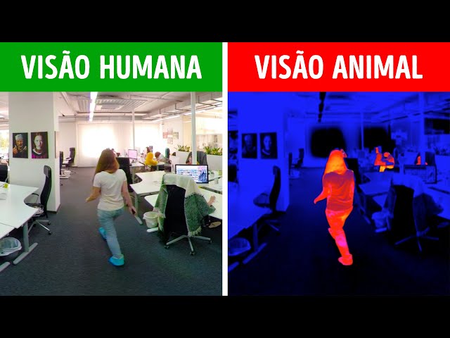 Como Personagens e Pessoas Famosas Veem o Mundo | 360 VR