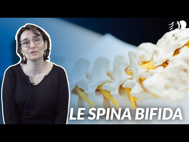 Le Spina Bifida chez l'adulte