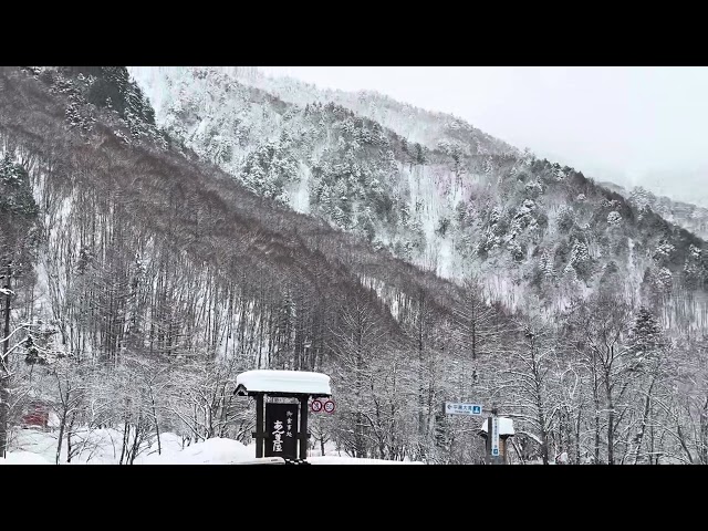 2025/02/03 ￼平湯溫泉滑雪埸