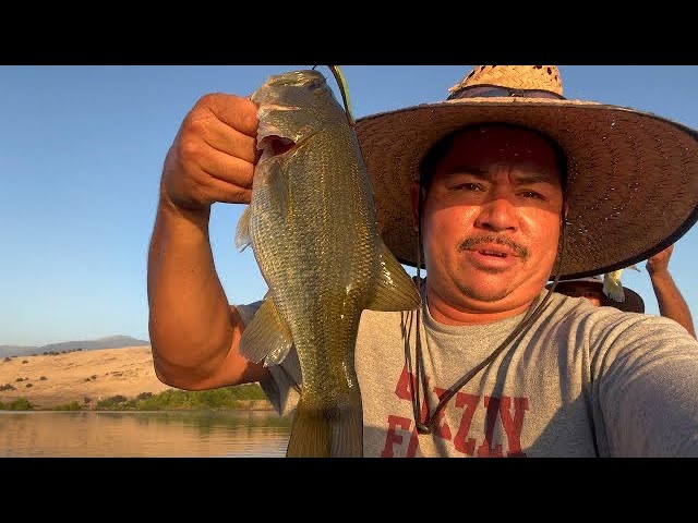 Lake Success back to back catches! #Bass #Fishing #Lakesuccess #BassAddicts559