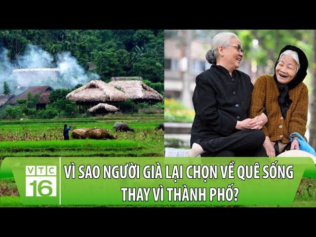 Vì sao người già lại chọn về quê sống thay vì thành phố? | VTC16