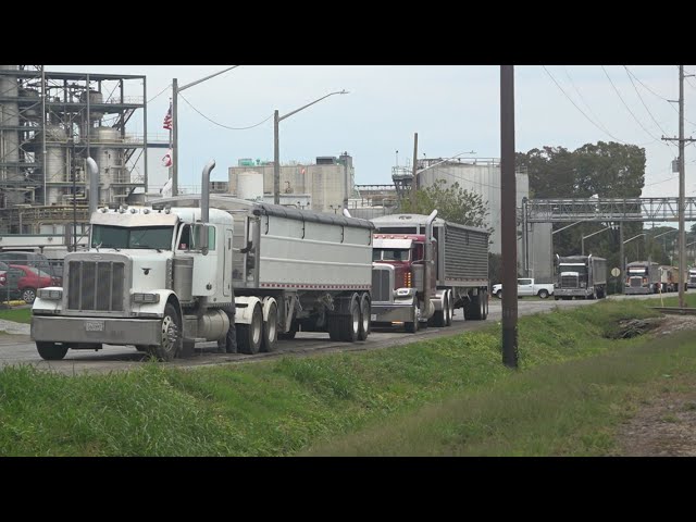 Bunge soybean factory expanding in Decatur