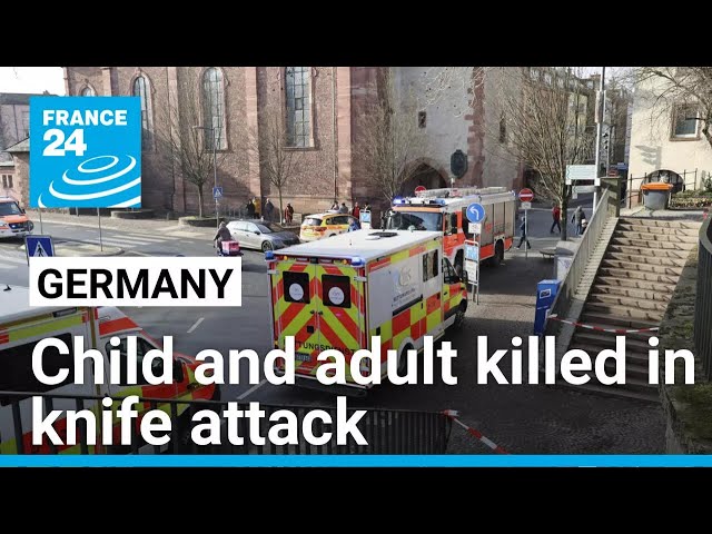 Child and adult killed in knife attack in German park • FRANCE 24 English