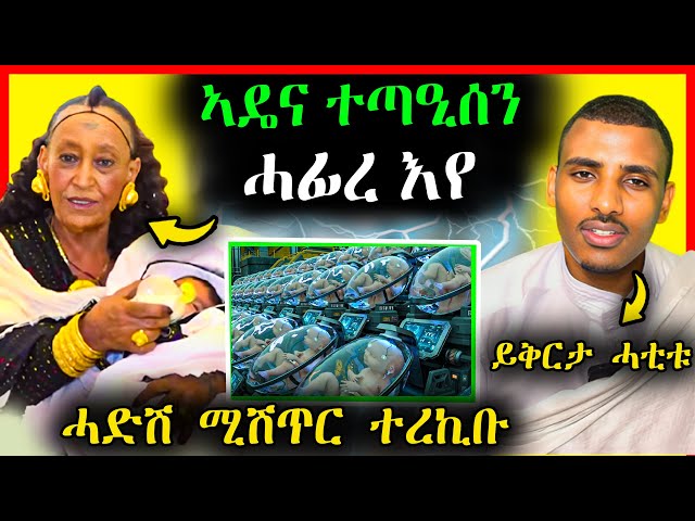 🔥ኣዴና ነቢዐን ይቅርታ. . . | Godolyas Tube ይቅርታ ንኣዴና | eritrean movie | tigray