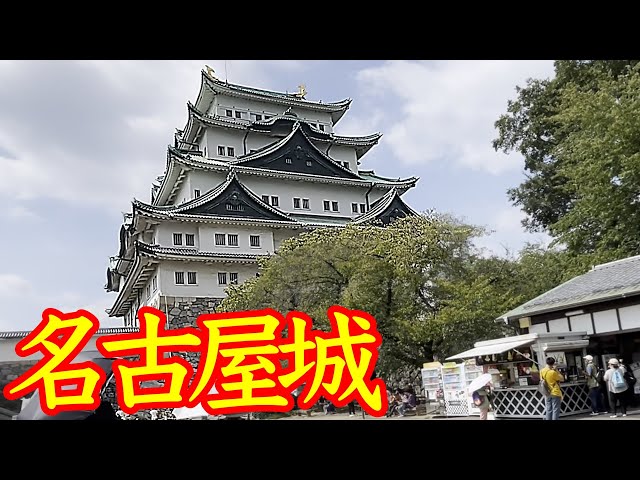 国宝と同格！🏵️　観覧料５００円！🏯　ゴージャスな名古屋城内装！⭐️　天守閣には行けなかった！😢