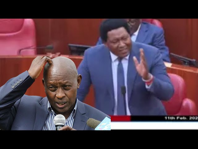 ''SHAME ON YOU,'' ANGRY SENATOR LEDAMA OLE KINA LECTURES GOV. MUTAHI KAHIGA AFTER INSULTED MAASAI