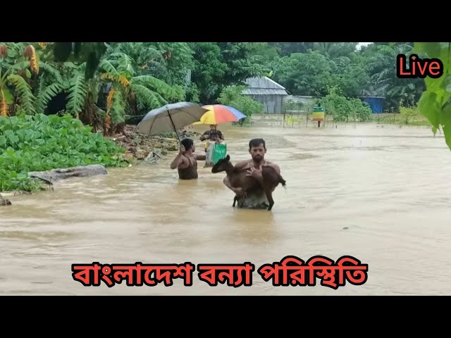 বাংলাদেশ বন্যা পরিস্থিতি Live