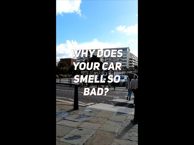 Tophype jokes. Why does your car smell?