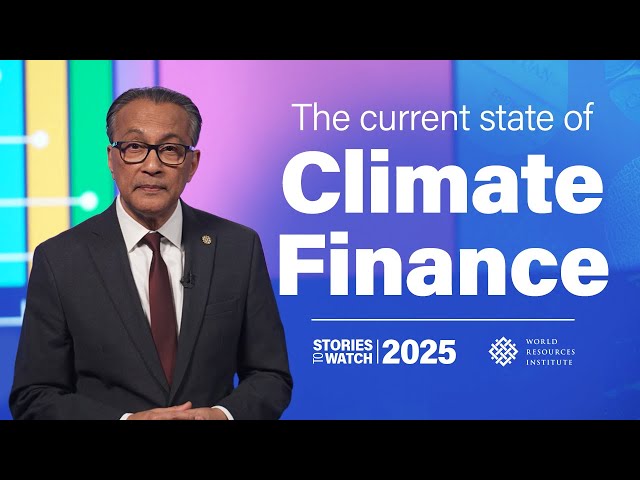 The current state of climate finance | Stories to Watch 2025