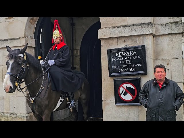 FIRST VIDEO OF 2025 and Something Wonderful Happened at Horse Guards!