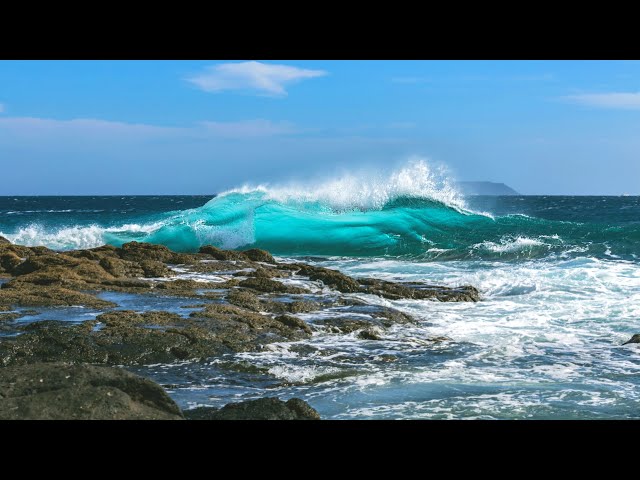 🌷Relaxing Music - Ocean Waves - Seagulls - Healing, Sleep Music, Stress Relief, Relax, Spa