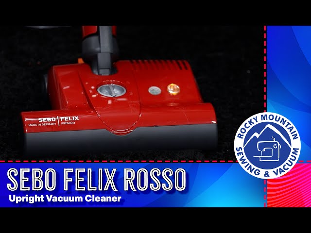 5 Reasons to Buy the SEBO Felix Premium Rosso