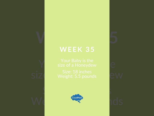 Baby's Growth and Size: 35 Weeks Pregnant