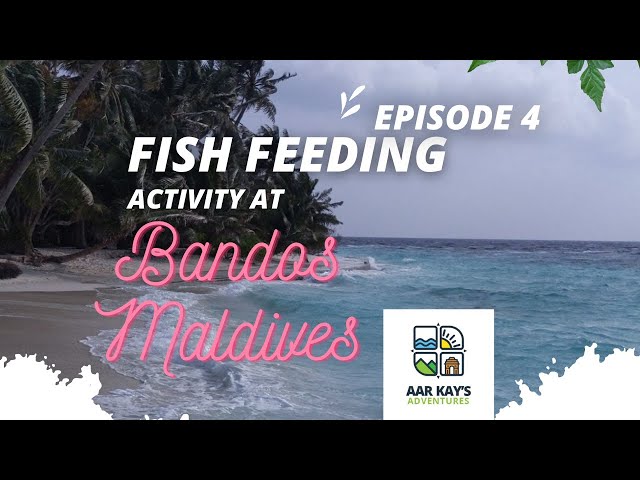 Bandos Maldives - Ep:4 | Fish Feeding | Indian Food | Good News for Indians | English Sub-Titles