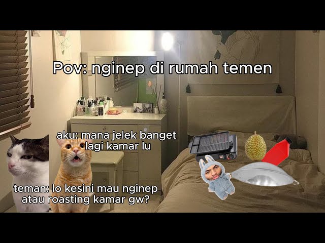 Pov: nginep di rumah temen | Meme Kucing | #pov #meme #kucing #cat