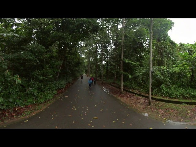 Mr Nor 360 VR Walkabout to Bukit Batok Nature