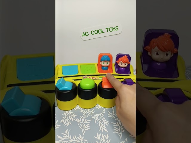 Super cool pop & play pals