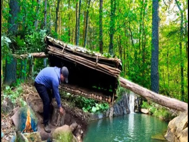 15 days of survival as a shelter and camping looking for food in the wild forest