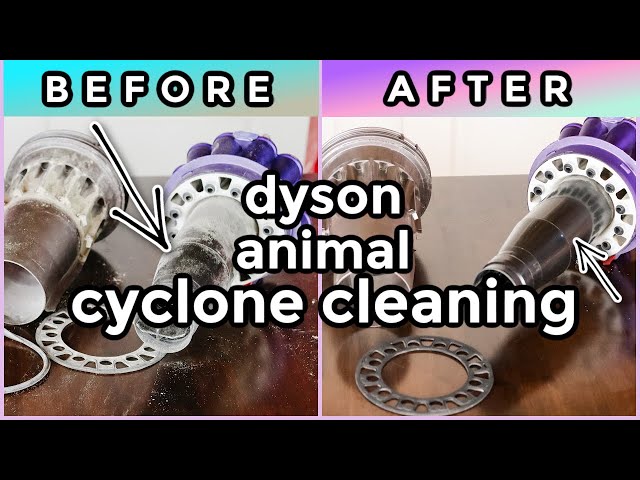 HOW TO CLEAN A DYSON ANIMAL CYCLONE | DC 66 UPRIGHT BALL ANIMAL VACUUM | EASY STEPS |ONE TOOL NEEDED